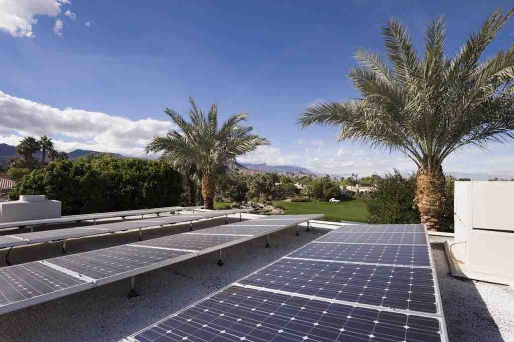 How long has momentum solar been in business?