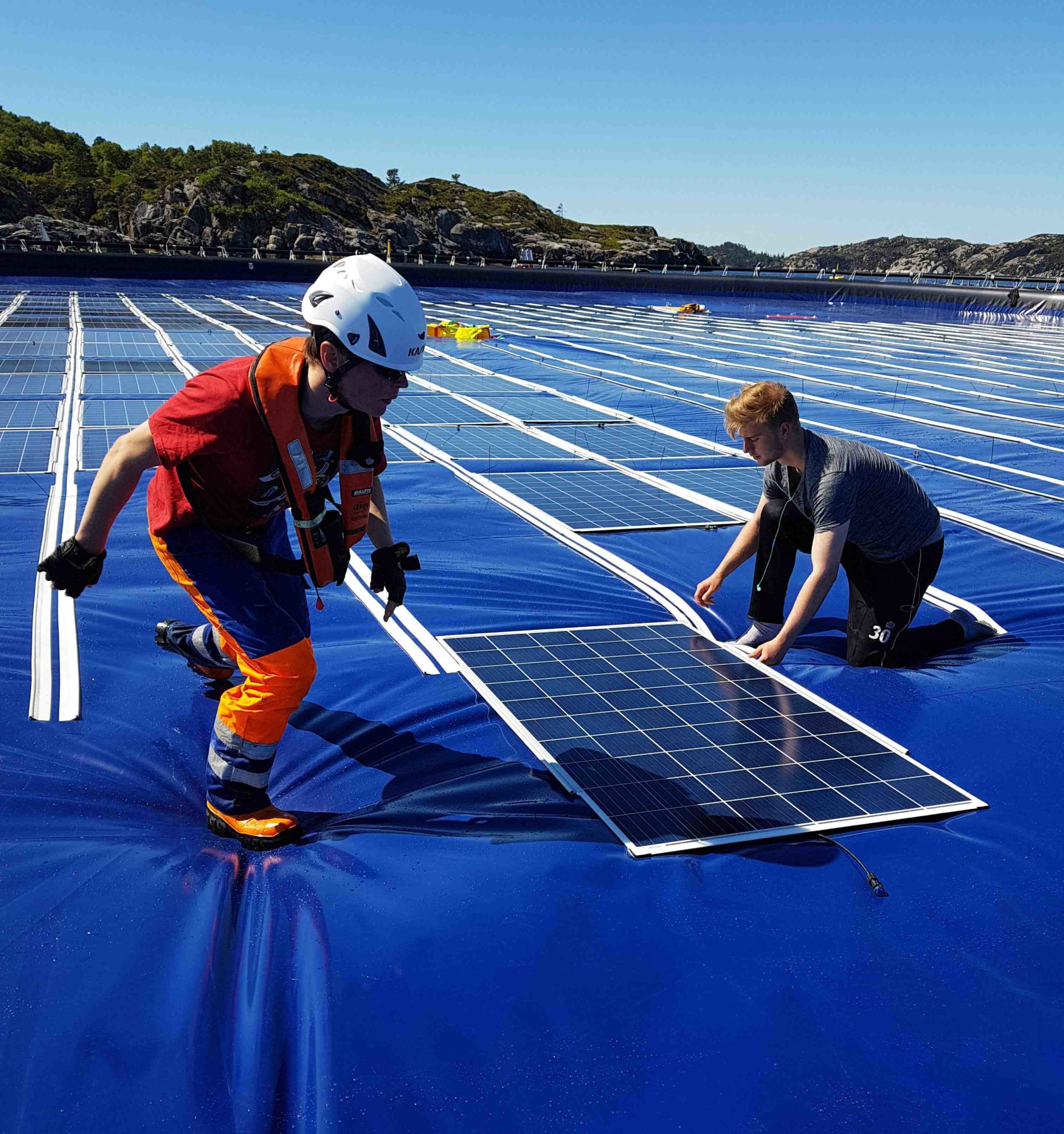 Who is the best solar panel company?
