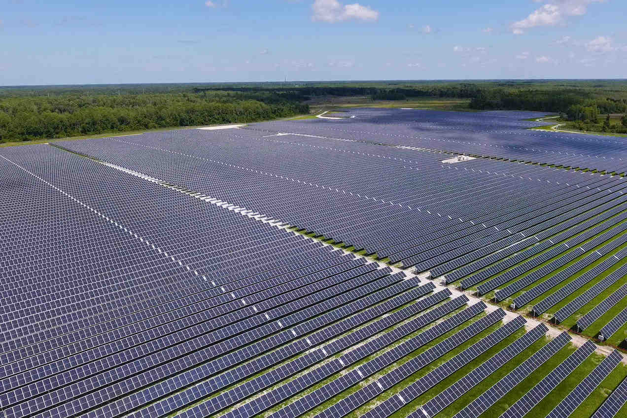 Is wholesale solar a good company?